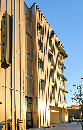 VMWP_Vitalia_X_0143