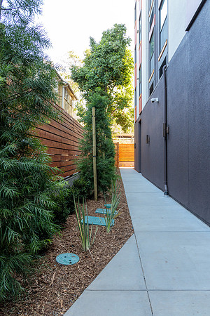 Brown_Construction_San_Jose_Villas-7222