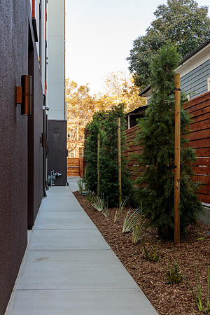 Brown_Construction_San_Jose_Villas-7214
