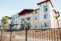 ALORA - GRAND OPENING