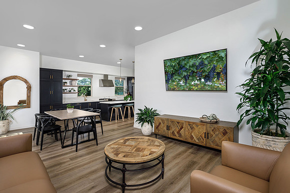 AH_DellaRosa_TVArea-Kitchen_0609a-11x8