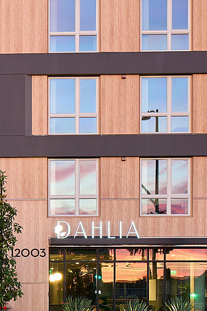 Dahlia_Jan2022_003_1